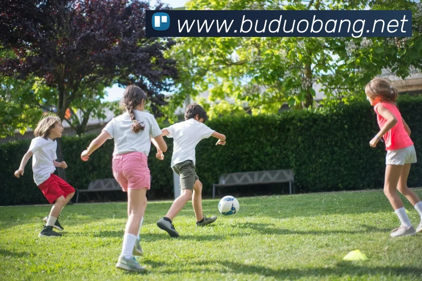 多媒体互动体验